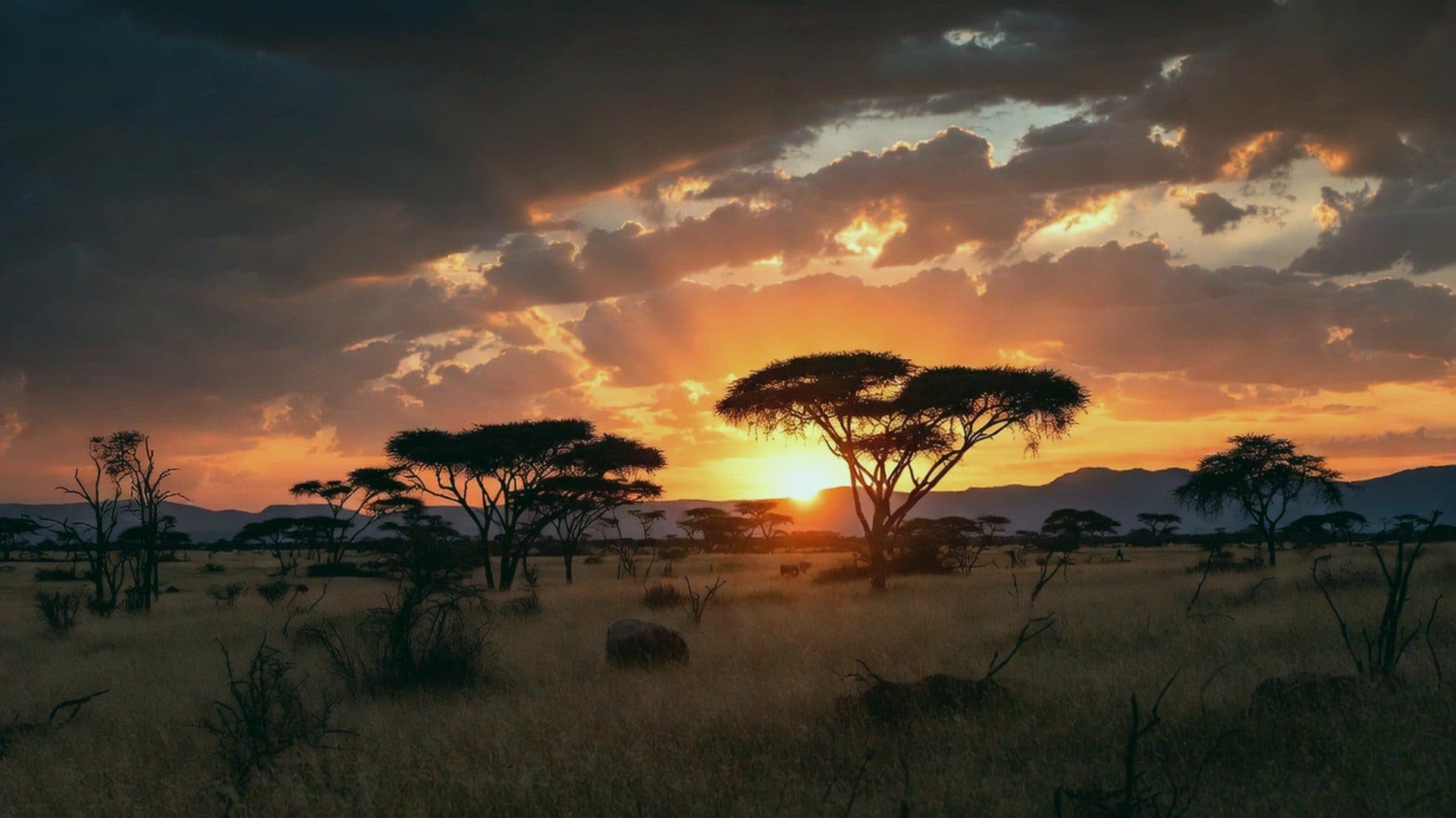 Mandhari kote Afrika