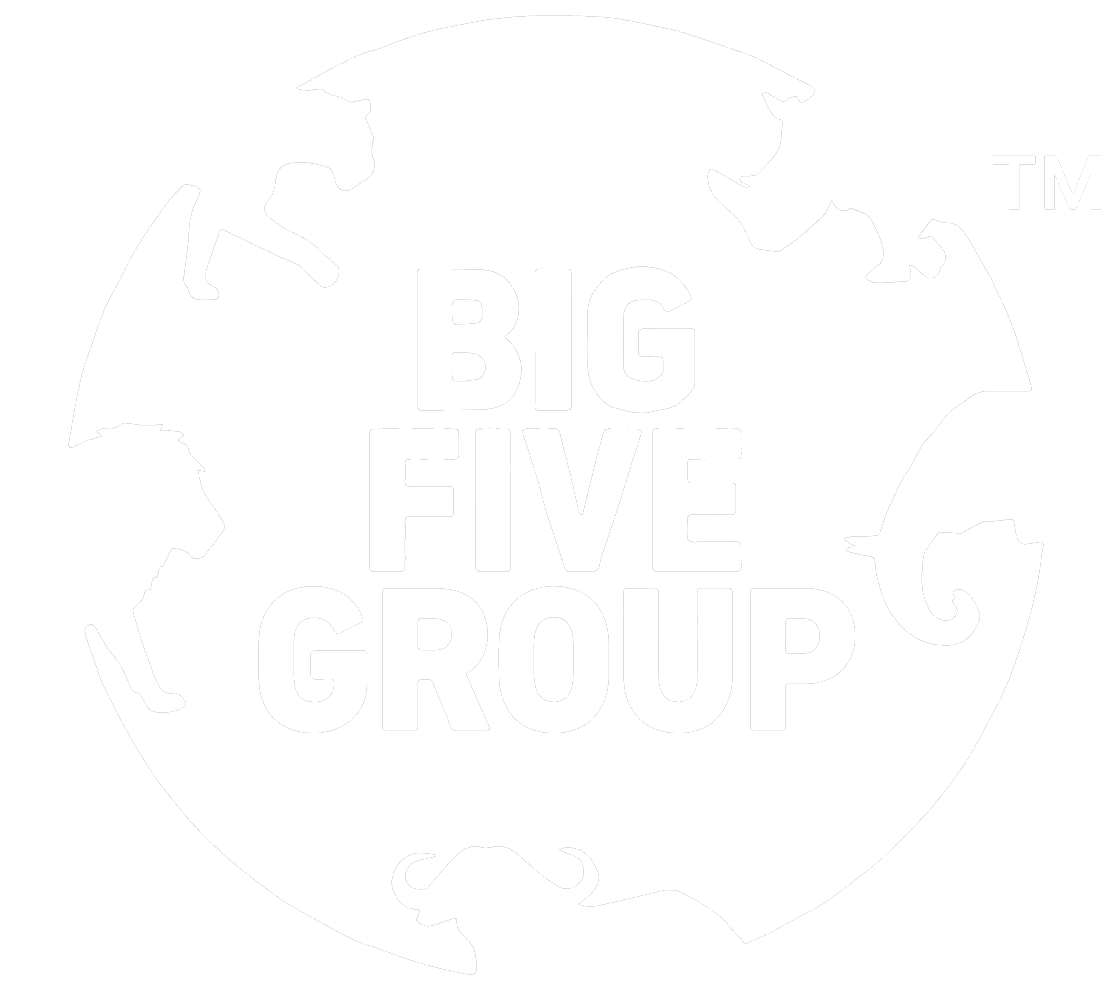 Big Five Group logo